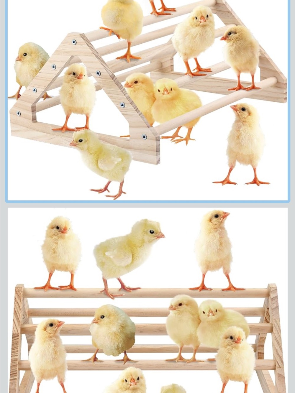 Natural Wood Multi-Level Bird Perch Ladder - Cream